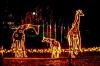 Photo for Lexington Columbia Irmo Christmas Lights on Display