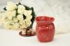 Photo for Scentsy Wickless Candles
