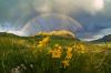 Photo for Future of Crested Butte Valley recreation: Regional ice rinks, campgrounds, pools?