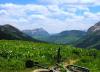 Photo for Board acquires water to keep Crested Butte streams flowing