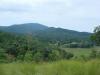 Photo for Timberwood Springs in Murphy North Carolina - Equestrian Pastures - 10% and 35% off ask how