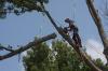 Photo for PANHANDLE TREE SERVICE - Alliance, NE