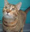 Photo for Neenah Animal Shelter