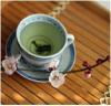 Photo for Botanical Indulgence