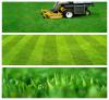 Photo for WILLIAM'S LAWN CARE - Arkansas City, KS
