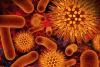 Photo for IAV H5N1 Hemagglutinin [His]