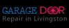 Photo for Garage Door Repair Livingston