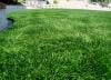 Photo for Need Artificial Turf/Grass in San Diego, CA?