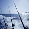 Photo for Bidwell Bait & Tackle