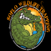 Photo for SoFlo Wildlife Trapping & Removal, LLC
