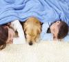 Photo for Carson Affordable Carpet Cleaning