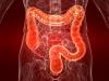 Photo for Healthy Colon