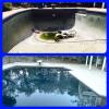 Photo for American Pool Repairs