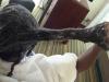 Photo for Braids Dreadlocks Weave Removal