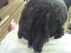 Photo for Take It Down Braids & Weaves Salon
