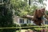 Photo for Lake Orion Tree Service