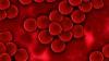 Photo for Europe Platelet Rich Plasma (PRP) Market Expected to Reach USD 87.2 Million in 2022