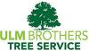 Photo for Ulm Brothers Tree Service