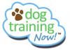 Photo for Dog Training Now