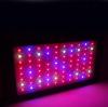 Photo for Led growing lights