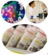 Photo for Melamine ELISA Kit
