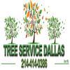 Photo for Tree service Dallas