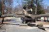 Photo for Tree Services in Katy