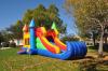 Photo for Backyard Jumpers LLC
