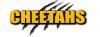 Photo for Cheetahs Gentlemen's Club