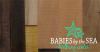 Photo for Babies By The Sea Birthing Center 