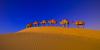 Photo for Tourist Place in Rajasthan