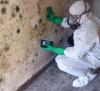 Photo for Mold Remediation Pros - Denver