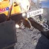 Photo for Asphalt Maintenance and Paving
