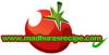 Photo for Madhura's Recipes