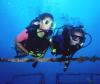 Photo for Key West Scuba Diving - Key West Dive - Florida Keys Scuba Diving