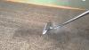 Photo for Auburn Family Carpet Cleaning