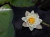 Photo for Centered Health and Wellness