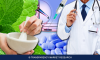Photo for Cardiovascular Disease Drug Market Segment Forecasts up to 2023,Research Reports-Transparency Market Research