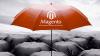 Photo for Professional Magento eCommerce Store Development Company