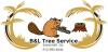 Photo for Savannah Tree Service by B&L