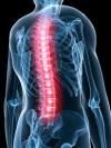 Photo for Dr. Stephanie Severson at Somers Chiropractic and Wellness