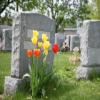 Photo for Cremation Of East Texas Funeral Homes