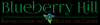 Photo for Blueberry Hill Rehabilitation & Healthcare Center