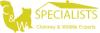 Photo for Chimney and Wildlife Specialist - Addison