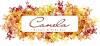 Photo for Canela Bistro & Wine Bar