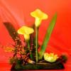 Photo for Anamnisis Wedding Corp.