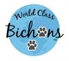 Photo for World Class Bichons