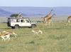 Photo for East Africa Adventure Safari Tours