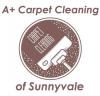 Photo for A+ Carpet Cleaning of Sunnyvale
