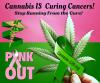 Photo for Natural, Cancer Cures! Proven! 